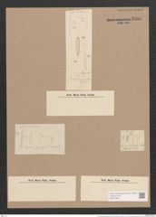 Gomphonema abbreviatum Ag. (de-Toni-Nr.: Genus 37, Species 1751) Zeichnungen Sammlung Grunow Nr. 3485 (NHMW-BOT-W0371040)